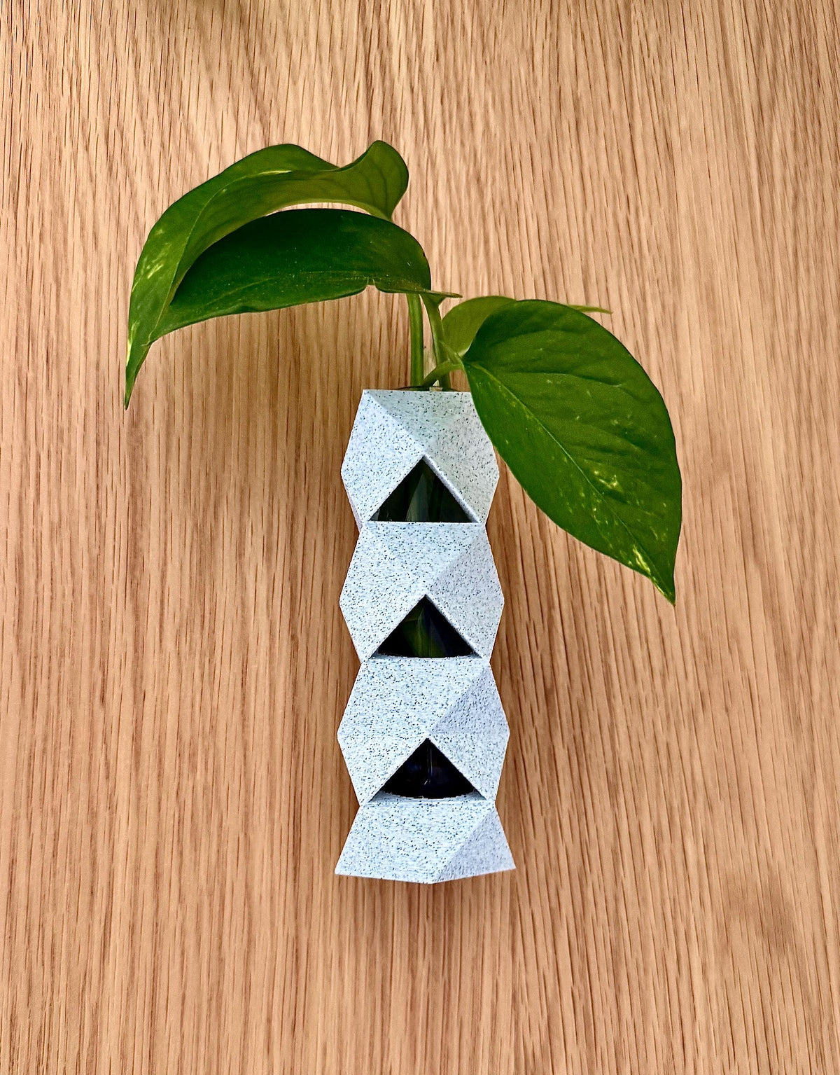GeoVase