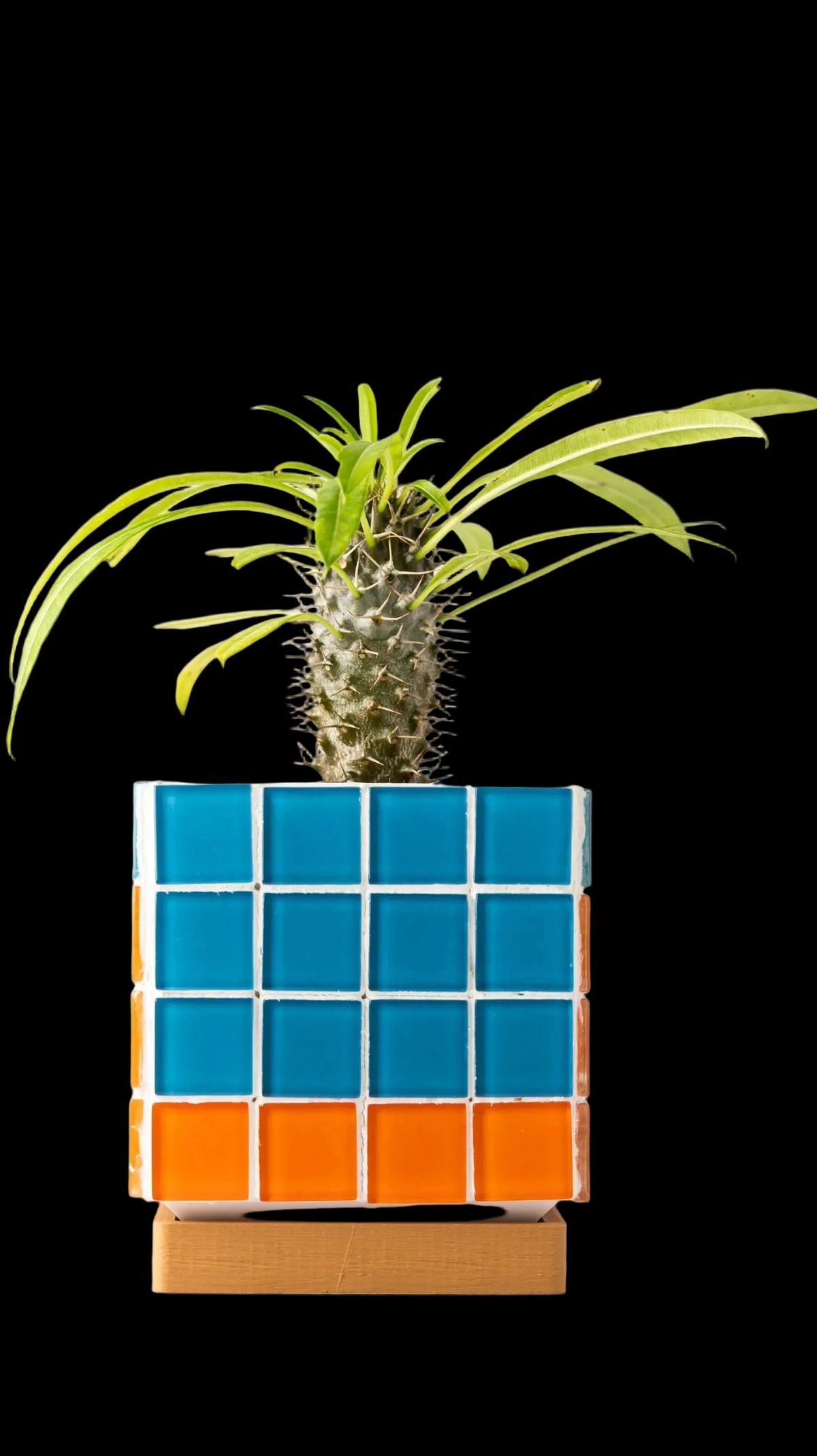 ColorBloc | Blue & Orange