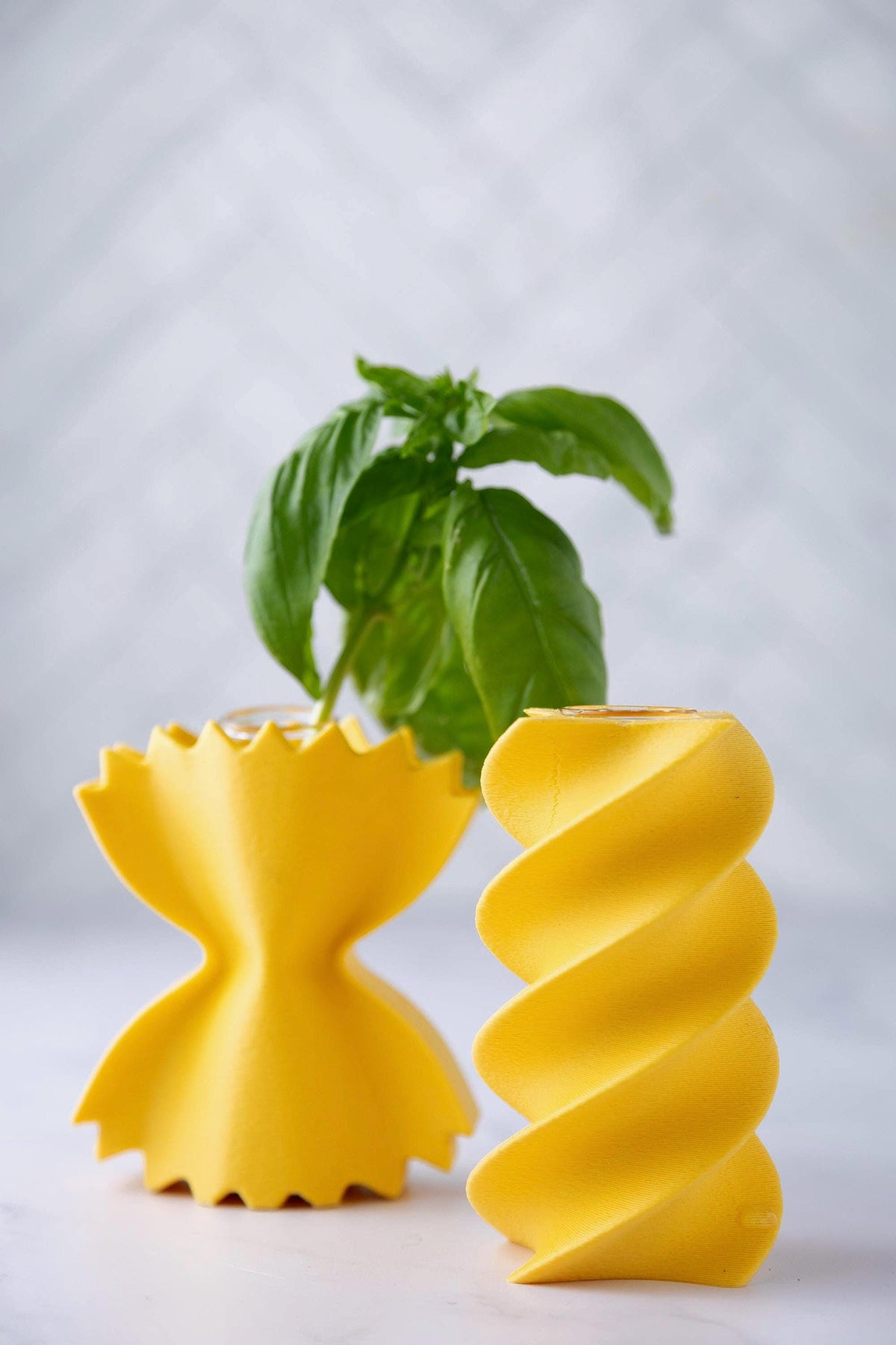 Pasta Propagation Vases
