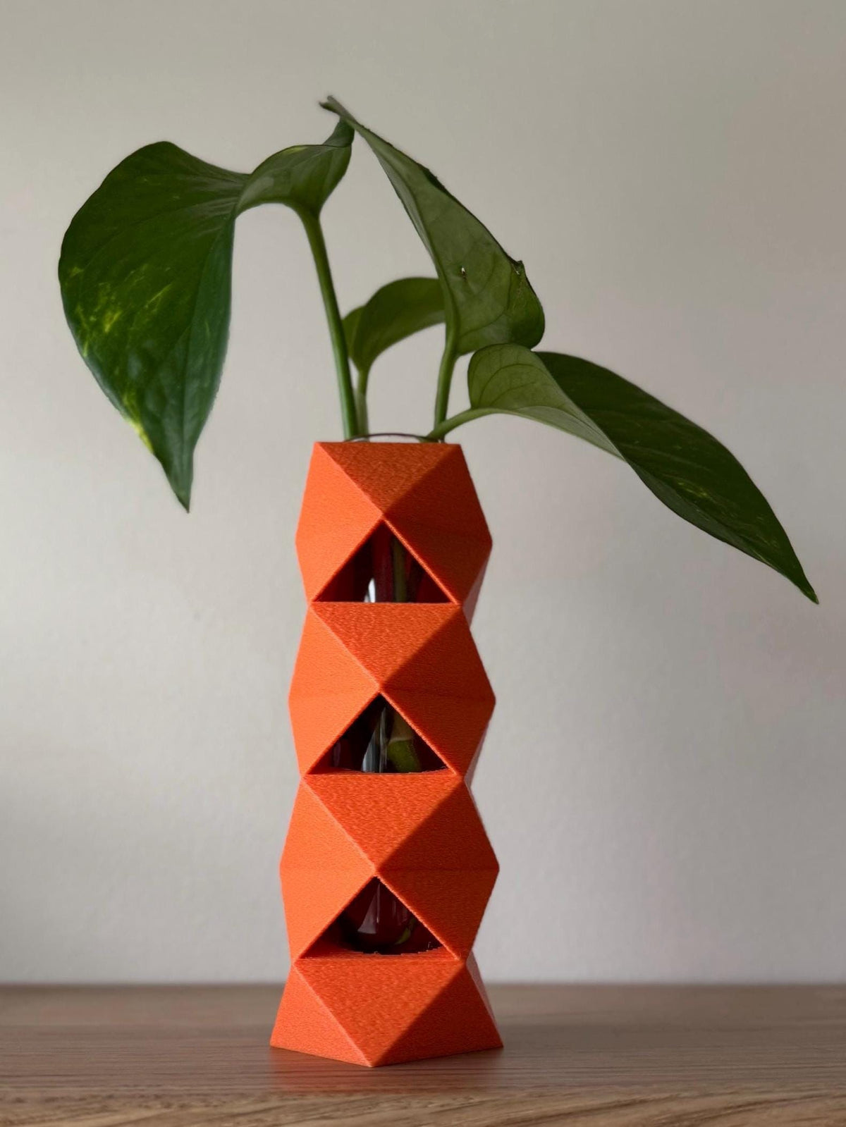 GeoVase