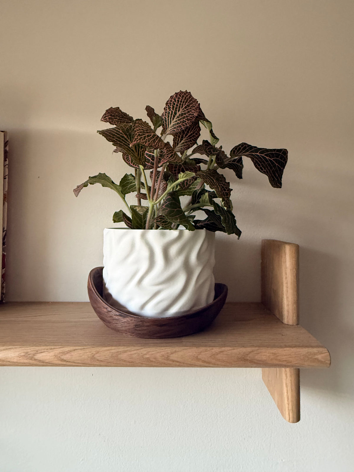 Draped over Wood Planter