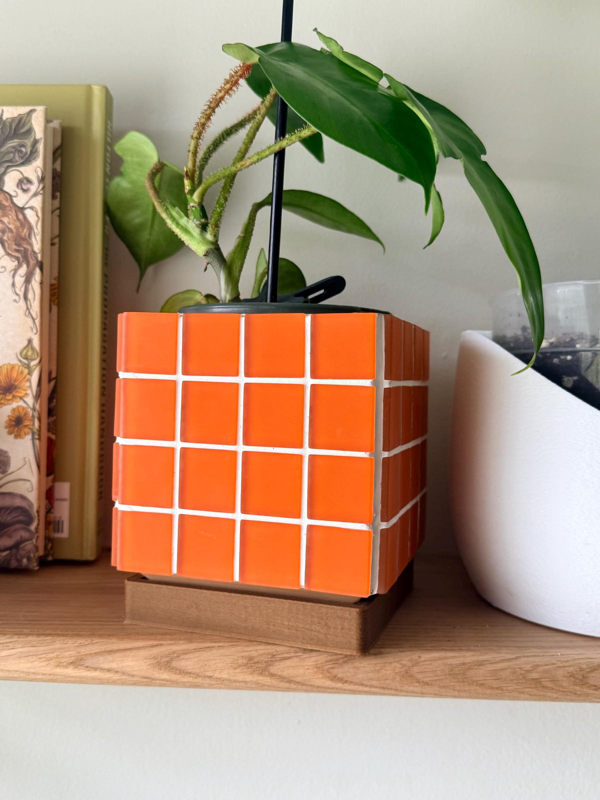 ColorBloc | Matte Orange