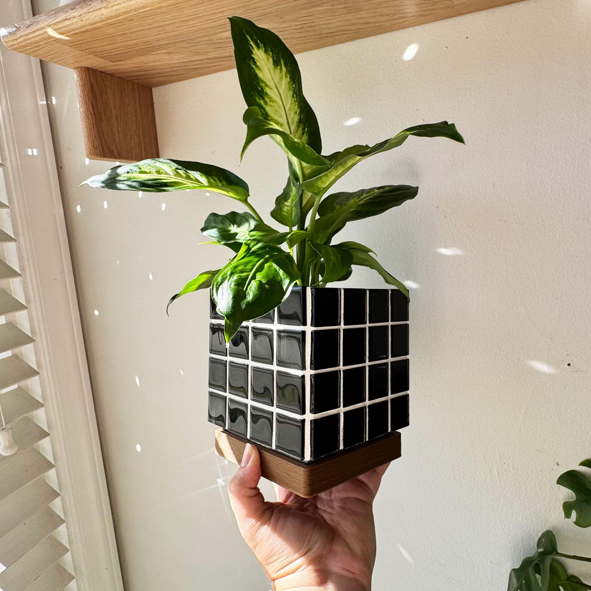 Black Mosaic Tile Planter with Drip Tray | Mid-Century Modern Plant Pot