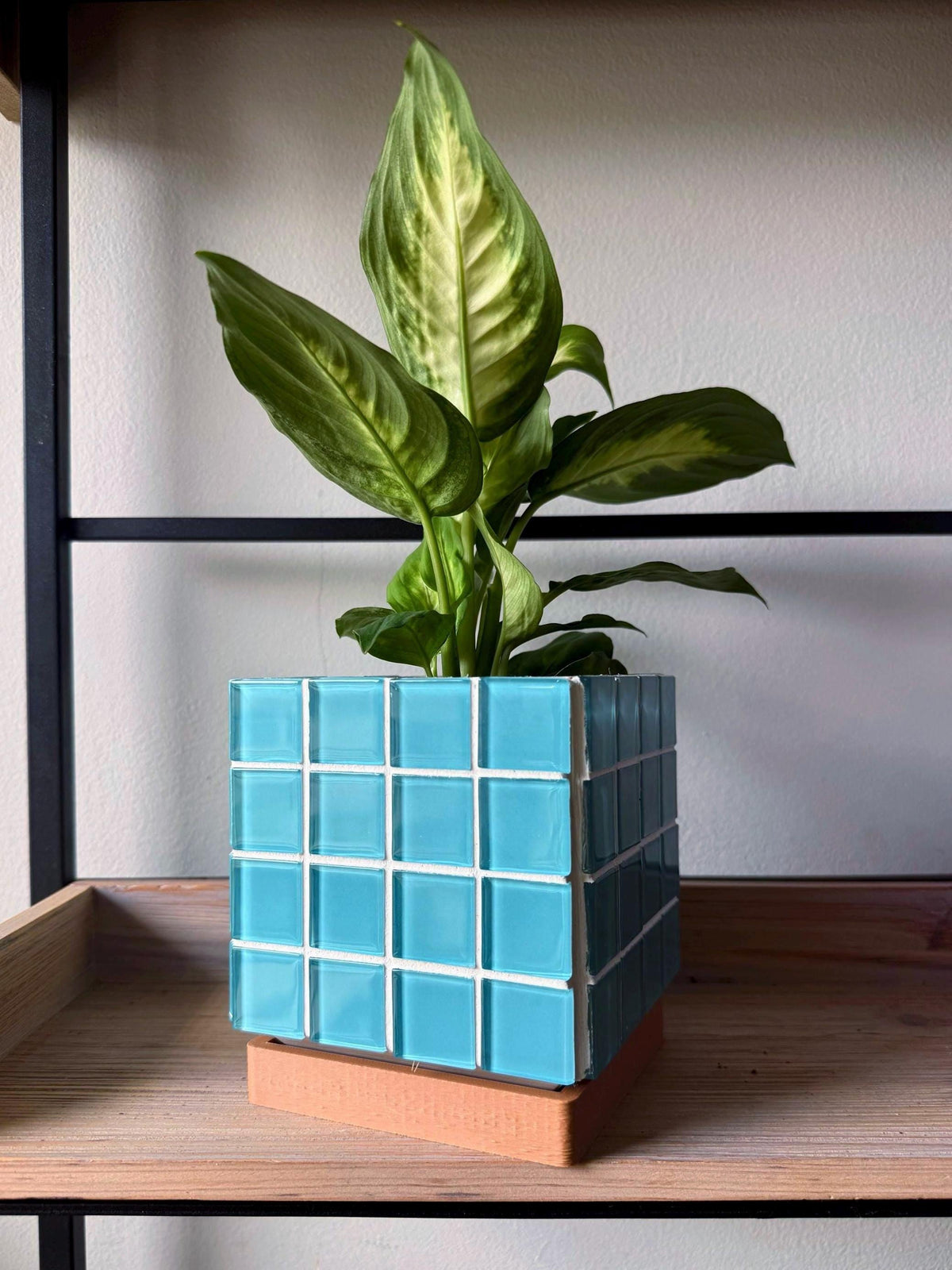 Handcrafted Teal Mosaic Tile Planter | Modern Boho Indoor Pot with Drip Tray