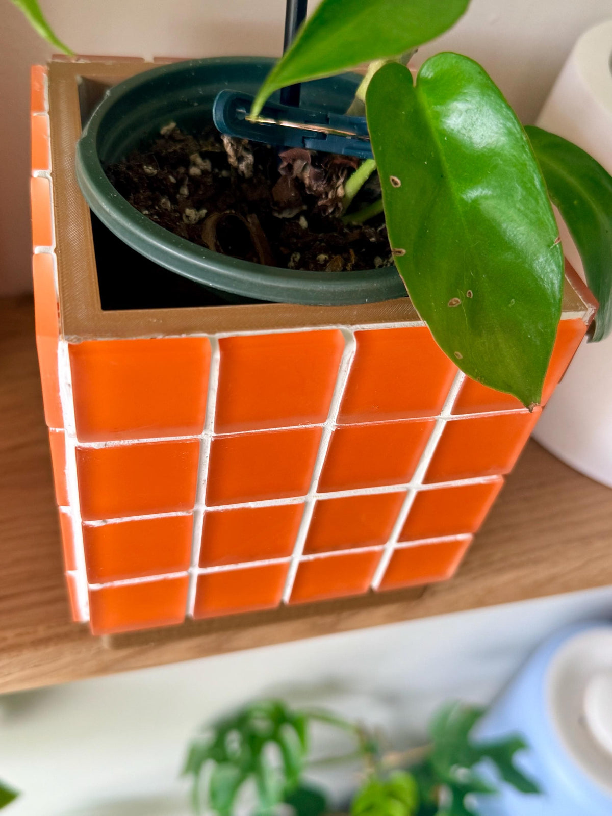 ColorBloc | Matte Orange