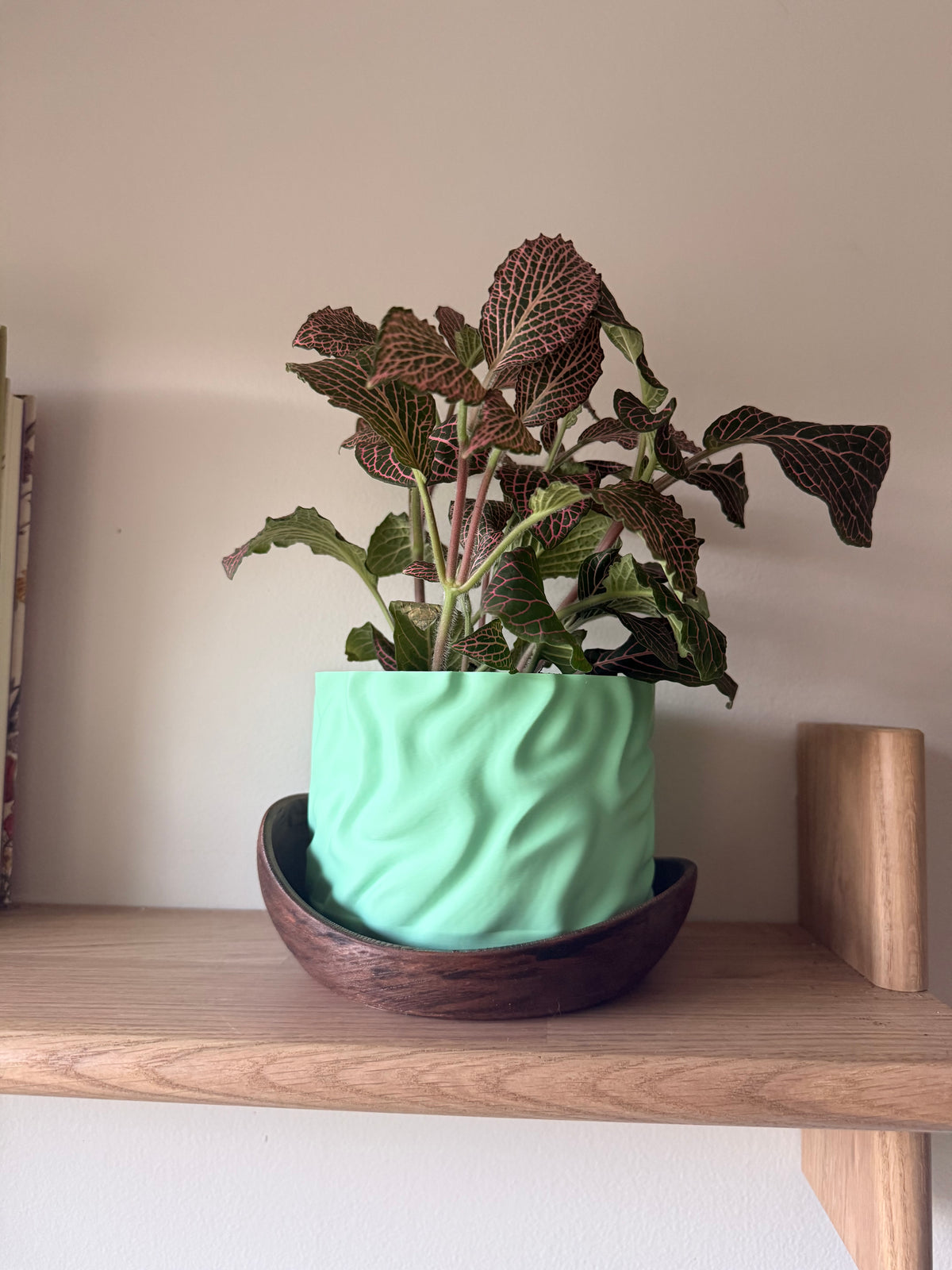 Draped over Wood Planter
