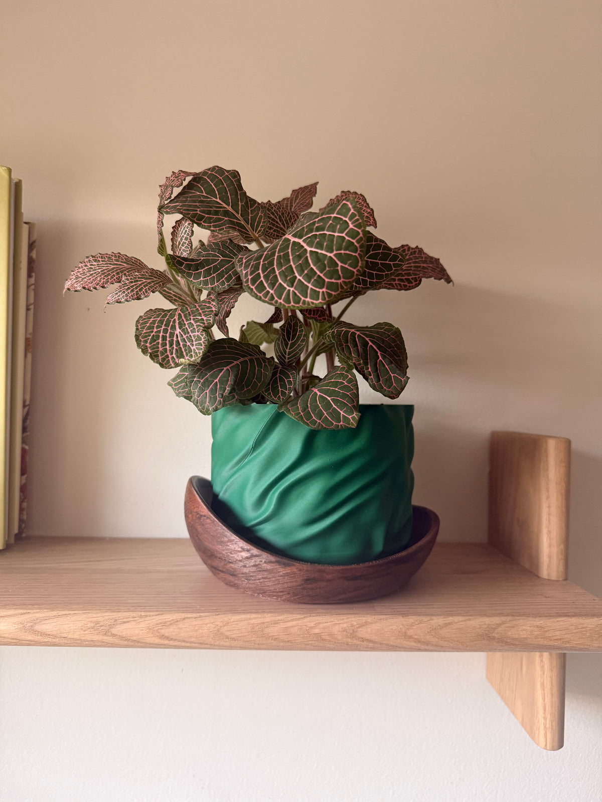 Draped over Wood Planter