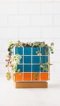 ColorBloc | Blue & Orange