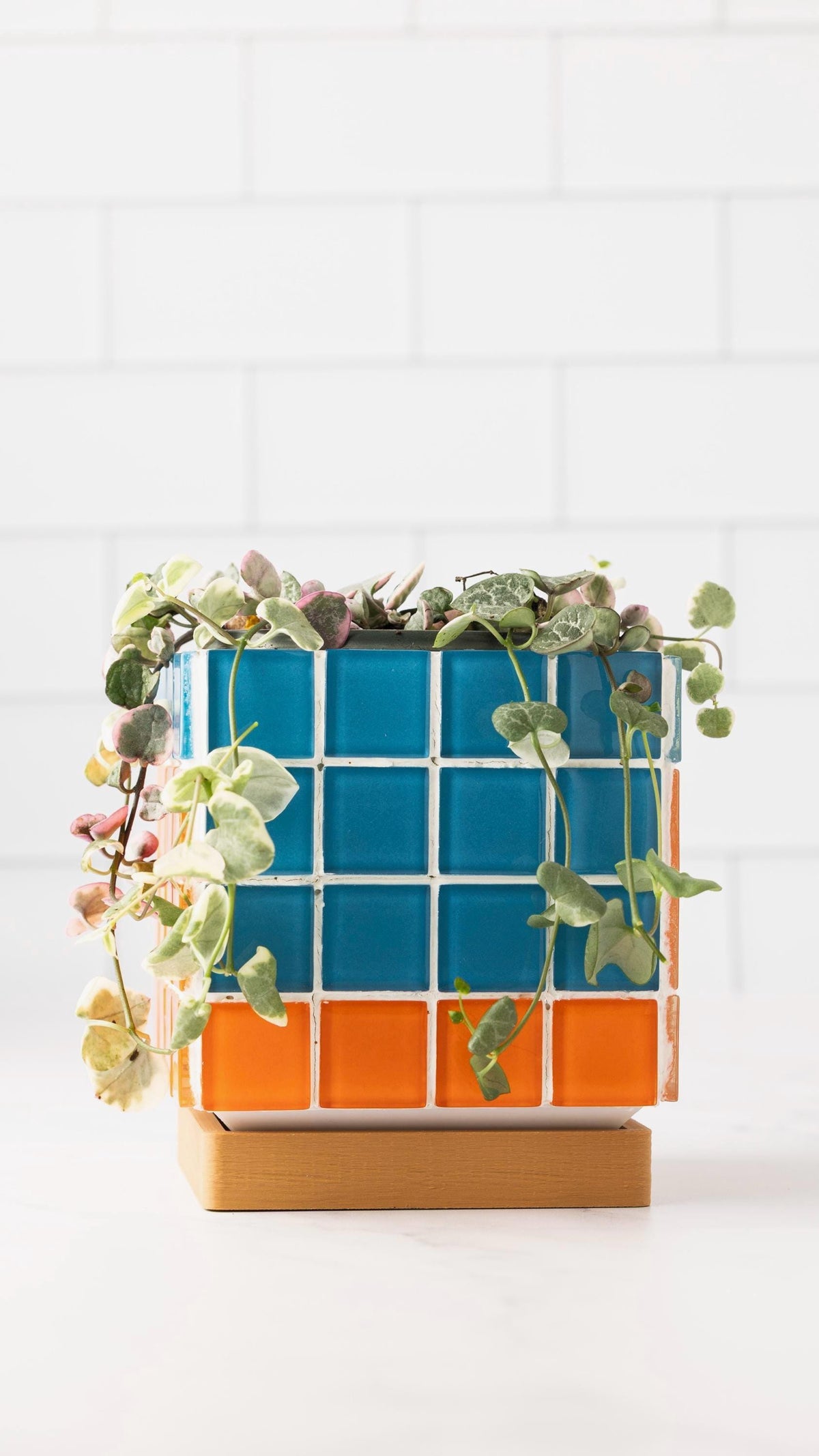 ColorBloc | Blue & Orange