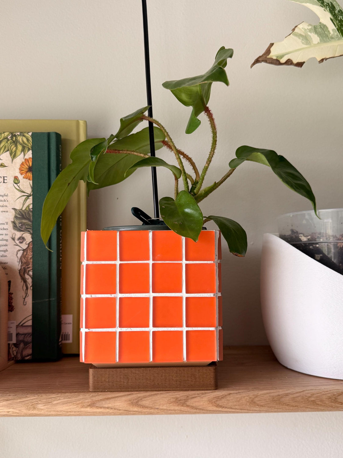 ColorBloc | Matte Orange