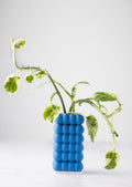 Bubble Propgation Vase | BAUBBLE