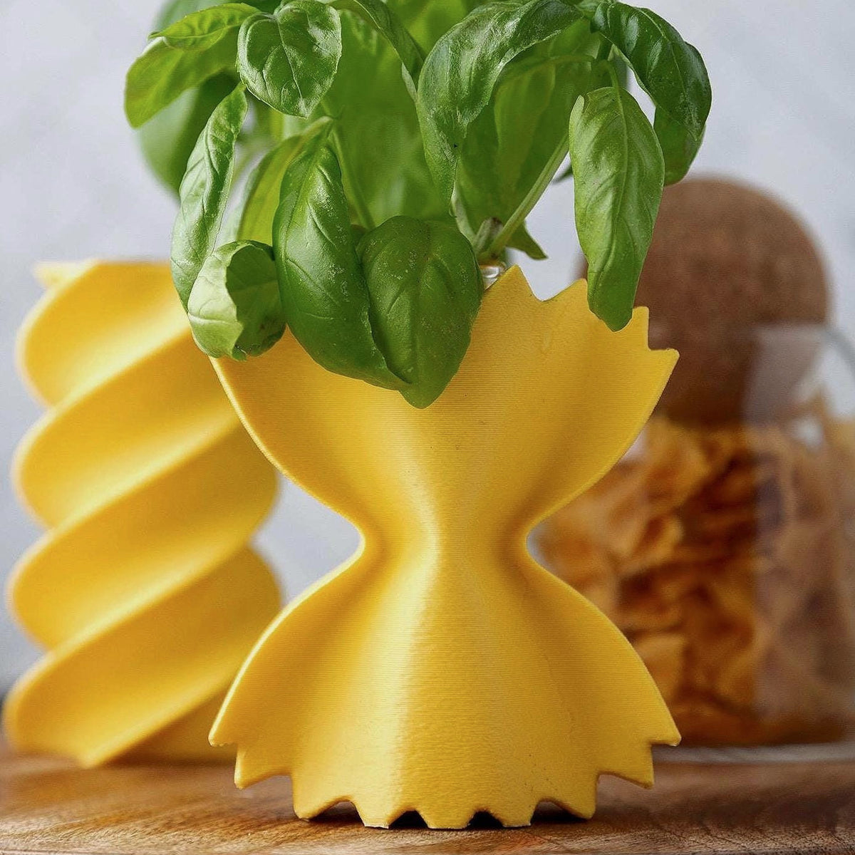 Pasta Propagation Vases